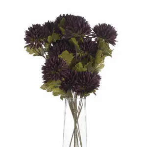 UK Homeliving Chocolate Chrysanthemum