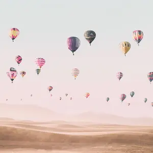 Hot Air Balloons Mural - 384x260cm - 5547-8