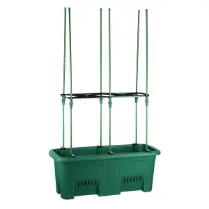 simpa Dark Green Climbing Plants Grow Kit: 70cm Trough Pot & Trellis Stakes