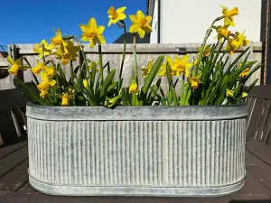 Ribbed Metal Planters Set 3 Galvanised Steel Outdoor Garden Large Flower Pots