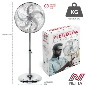 NETTA 16 Inch Metal Pedestal Fan - Chrome