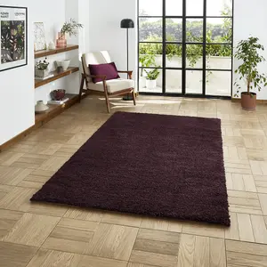 Purple Plain Shaggy 45mm Thick Rug, Stain-Resistant Modern Rug for Bedroom, Dining Room, & Living Room-160cm X 230cm