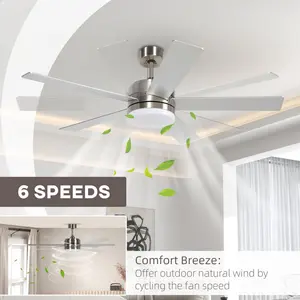 Oyola Ceiling Fan with Light Kit