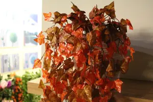 Best Artificial 100cm Two Tone Autumn English Trailing Ivy Halloween Garland - TI15