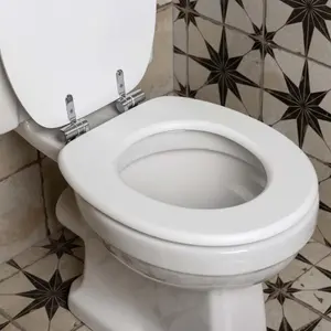 White Soft Closing Toilet Seat