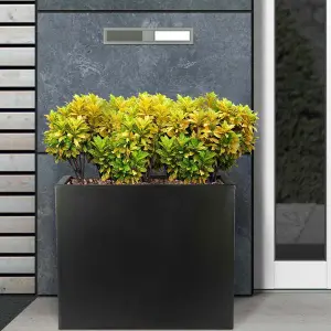 Set of 2 IDEALIST™ 50cm Trough Garden Planters, Black Reinforced Stone Rectangular Planters, Outdoor Plant Pots H40 L50 W20 cm