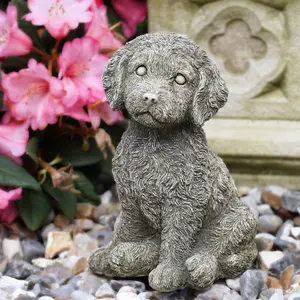 Cockapoo Puppy Dog Stone Statue Animal Outdoor Garden Ornament Decoration British Made Sculpture