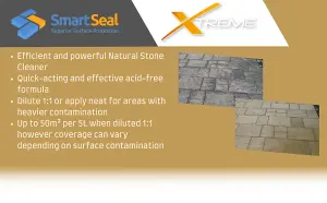 Natural Stone Cleaner Xtreme, Black Spot Remover and Powerful Cleaner, Dirt Remover, Stains, Grime and Algae Killer, 20L