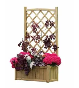 Zest Cambridge Wooden Rectangular Garden Planter & Lattice Trellis