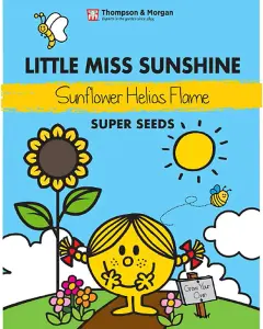 Mr. Men™ Little Miss™ - Little Miss Sunshine - Sunflower 'Helios Flame' - 1 Packet (10 Seeds)