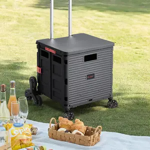 Outdoor Black Collapsible Rolling Crate with Magnetic Lid and Adjustable Handle