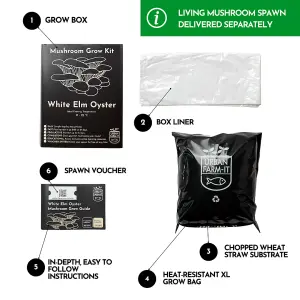 White Elm Oyster Mushroom Growing Kit Gift Option