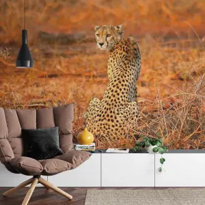 Leopard Safari Mural - 384x260cm - 5075-8