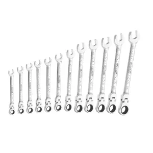 Expert Flexible Head Ratchet Spanner Set, 12 Piece