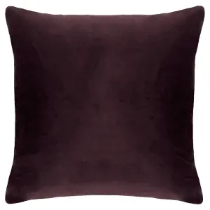 Paoletti Kala Square Floral Piped Feather Filled Cushion