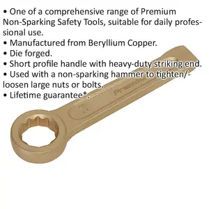 24mm Non-Sparking Ring End Slogging Spanner with Heavy-Duty Striking End