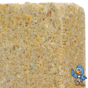 10 x BusyBeaks Peanut Suet Fat Blocks - Premium Grade High Protein Bird Food For Wild Birds