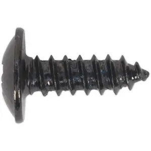 100 PACK 4.2 x 13mm Self Tapping Black Screw - Flanged Pozi Head - Fixings Screw