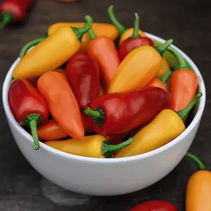 Chilli Pepper Fresno Mix F1 1 Seed Packet (6 Seeds)