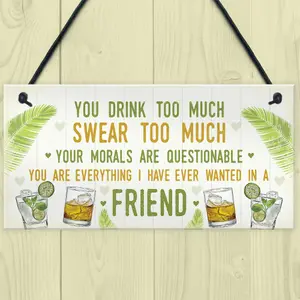 Red Ocean Funny Best Friend Friendship Sign Drink Too Much Gin Vodka Birthday Gift