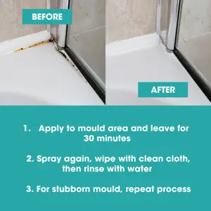 Furniture Clinic Mould Remover Spray