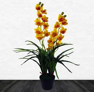 90cm Yellow Flower Orchid Plant