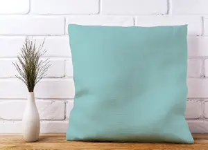 Robin Egg Blue Cushions 45cm x 45cm