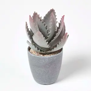 Homescapes Purple and Green Aloe Vera Artificial Succulent in Grey Pot, 21 cm Tall