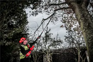 Milwaukee M18 Quik-Lok Brushless FUEL Chain Saw Pole Saw 254mm Bar Pruning Saw