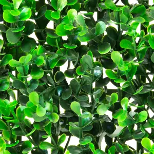 Primrose Buxus Artificial Hedge Outdoor Patio Fence Panel 50cm x 50cm