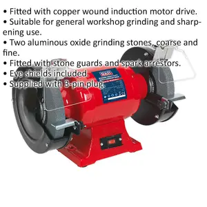 200mm Heavy Duty Bench Grinder with 600W Induction Motor and Dual Grinding Stones