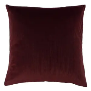 furn. Aurora Feather Rich Cushion