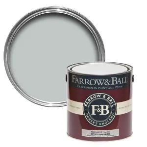 Farrow & Ball Exterior Masonry Mixed Colour Paint 205 Skylight 5L