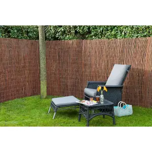 Nature Garden Screen Willow 1x3 m 10 mm Thick