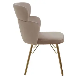 Interiors by Premier Mink Velvet Chair, Rustless Velvet Armchair, Easy to Assemble Bedroom Chair, Easy to Clean Outdoor Chair