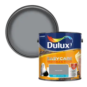 Dulux Easycare Washable & Tough Natural slate Matt Wall & ceiling Emulsion paint, 2.5L