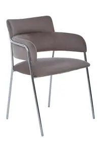 Mink Velvet Dining Chair,Compact Lounge Chair, Velvet Upholstered Kitchen Chair,Bedroom Decorative Armchair