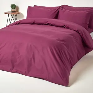 Homescapes Plum Egyptian Cotton Fitted Sheet 200 TC, Single