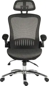 Harmony Mesh Executive Chair Grey with removable headrest, gas lift seat height adjustment and tilt to seat and back