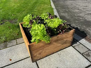 Country Kitchen Large Raised Bed Planter - Timber - L60 x W60 x H30 cm