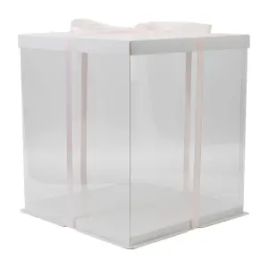 10 Inch Clear Plastic Cake Gift Box with Ribbon 30cm W x 30cm D x 35cm H