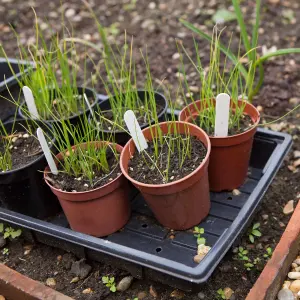 3 x 5L Round Terracotta Plant Pots For Growing Garden Plants & Herbs Outdoor Growers