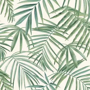 Arthouse Palm Leaves Green Wallpaper