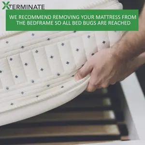 Xterminate Larger Bed Bug Killer Spray and Fogger Pack Bed Bug Treatment for the Home 3 Room Treatment