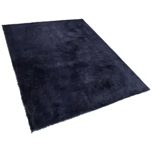 Shaggy Area Rug 200 x 300 cm Blue EVREN