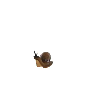 Terrastyle Brown Resin Snail Garden ornament (H)10cm