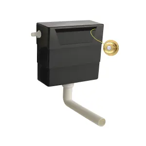 Universal Water Saving Dual Flush Side Inlet & Traditional Push Button - Brushed Brass/Black