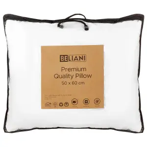 Set of 2 Pillows ERRIGAL Microfibre Low 50 x 60 cm White