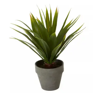 Fiori Agave Succulent Artificial Plant Foliage