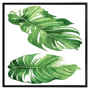 Twin botanical leaves (Picutre Frame) / 20x20" / Brown